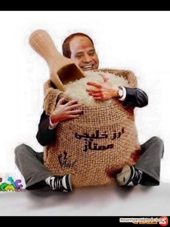 هل ذهب رز آل سعود أدراج الرياح؟